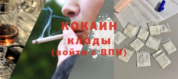 соль ск Алексин