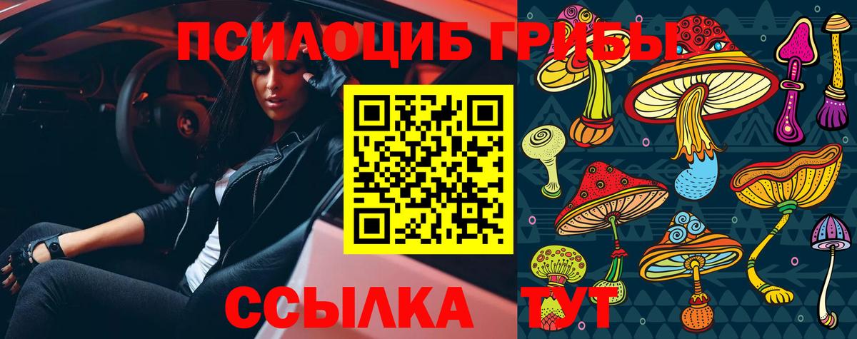Галлюциногенные грибы Psilocybine cubensis Курск
