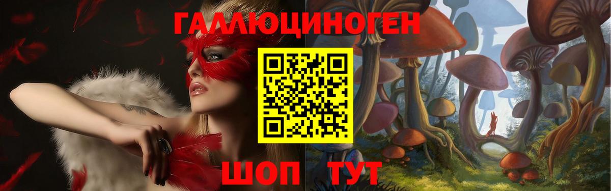 Курск  Псилоцибиновые грибы мицелий  продажа наркотиков  Вход с VPN 